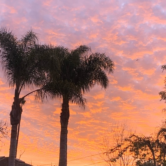 NEW & PRE-L❤️VED•VINTAGE & ANTIQUE•FAST SHIPPING✈️ - Picture 7 of 13